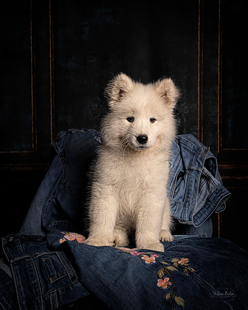 RAGS 10wks 7872