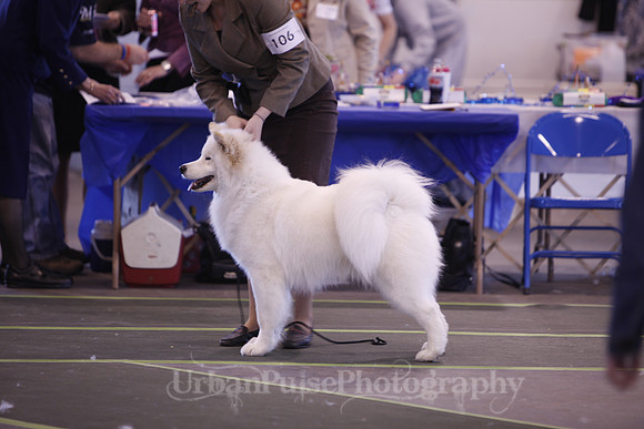 DoubleExposure_SCA_Specialty_2011-560