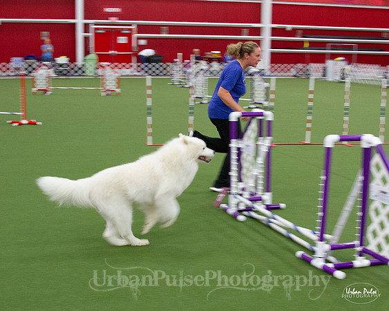 AGILITY_9477