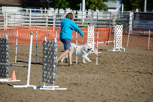 AGILITY-1875