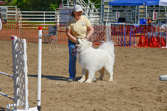 AGILITY-2360