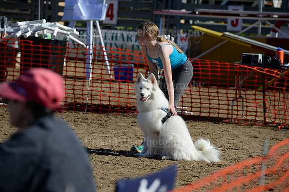 AGILITY-1919