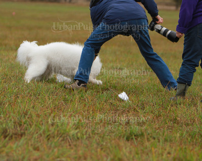 SCA2016_LURE COURSING-7481