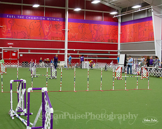 AGILITY_9496