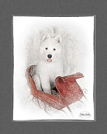 RAGS 08092022 ART PRINT matted