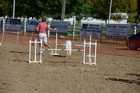 AGILITY-1960