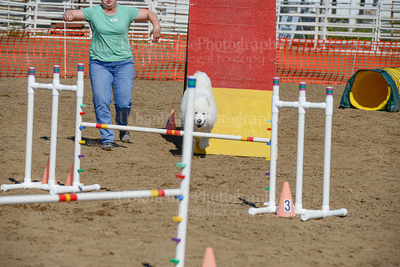 AGILITY-2344