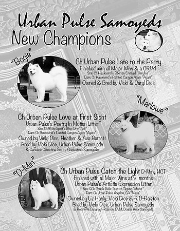 MARLOWE - BULLETIN AD