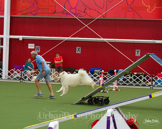 AGILITY_9506