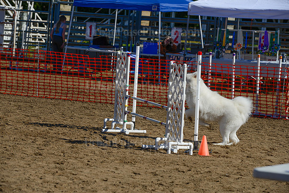 AGILITY-2070