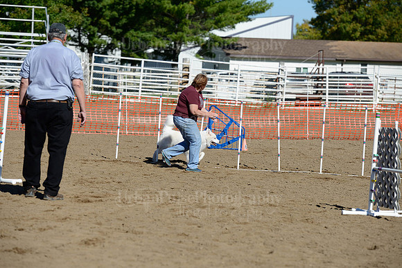 AGILITY-2002