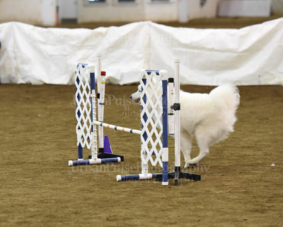 SCA2016_AG MON JWW NOVICE-1208