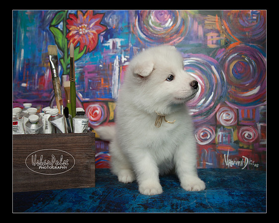 MaterxMaya5.5wks-8635