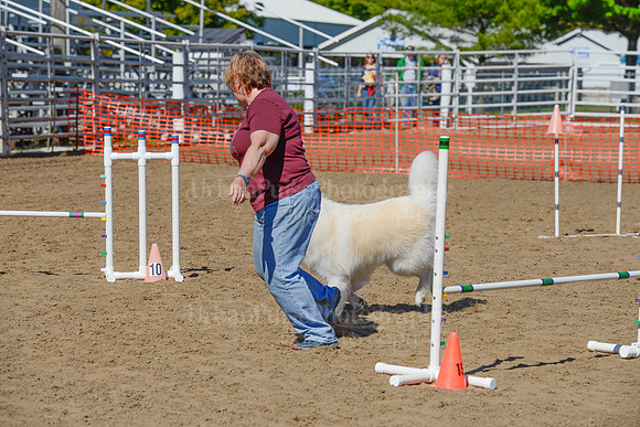 AGILITY-2235
