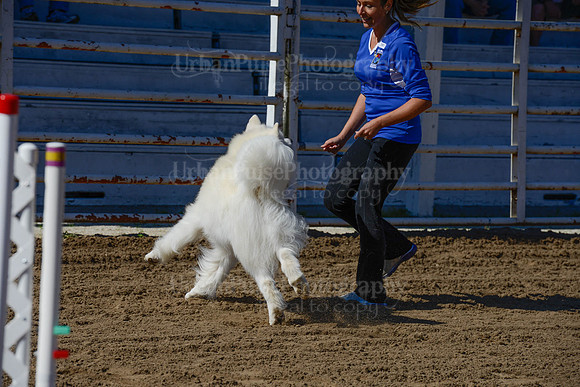 AGILITY-2217