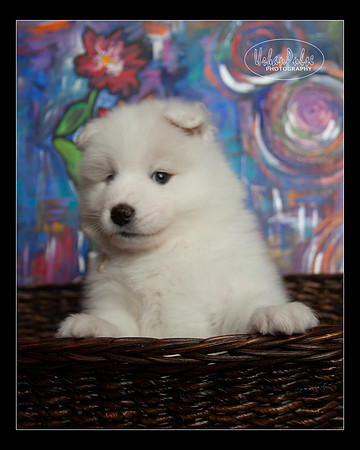 MaterxMaya5.5wks-8646