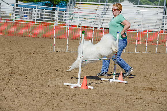 AGILITY-2357
