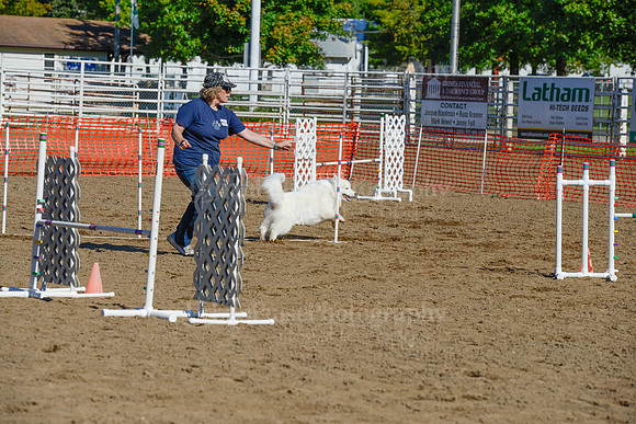 AGILITY-2058