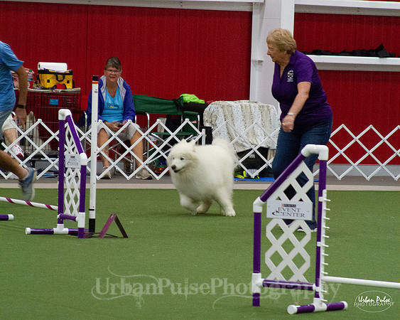AGILITY_9501