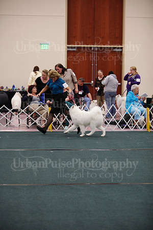 F9-12 Dog-7080