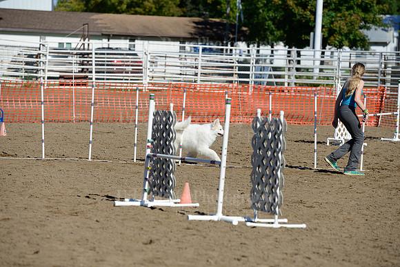 AGILITY-1941