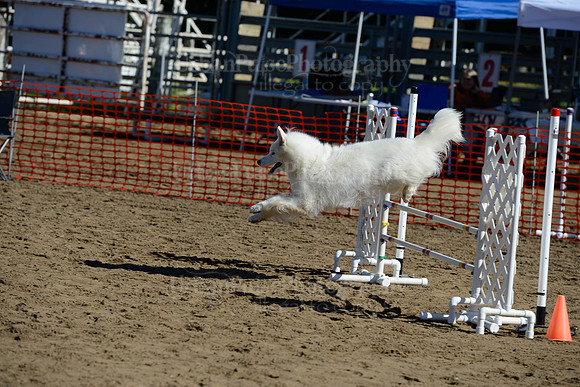 AGILITY-1921