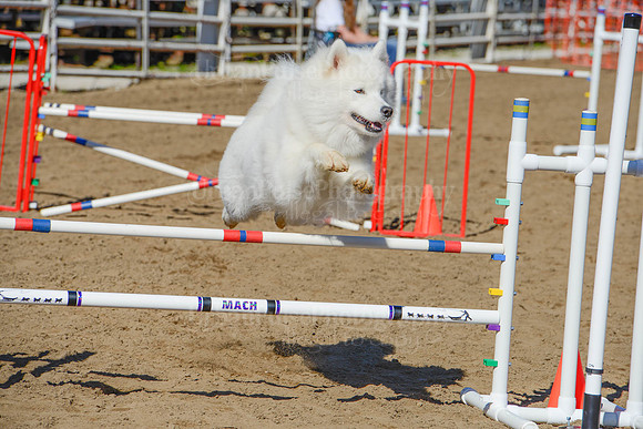 AGILITY-2096