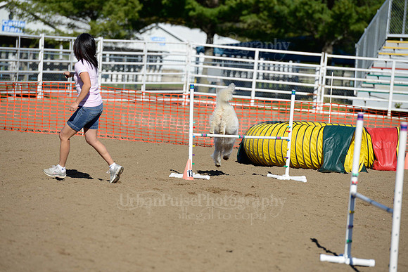 AGILITY-1859