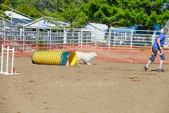 AGILITY-2026
