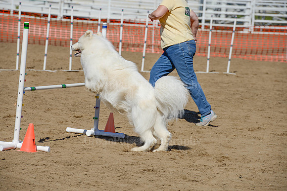 AGILITY-2372