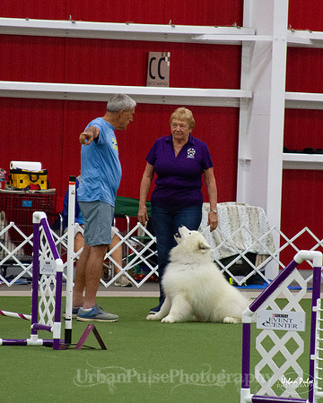 AGILITY_9497