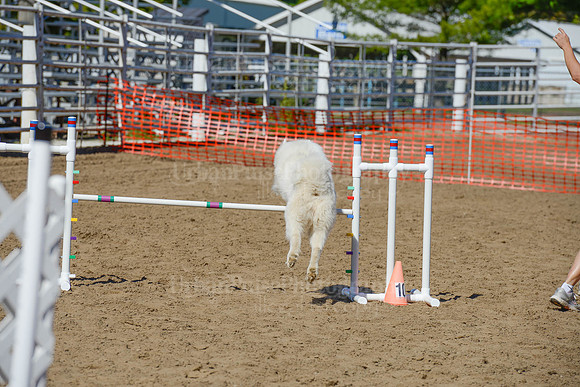 AGILITY-2256