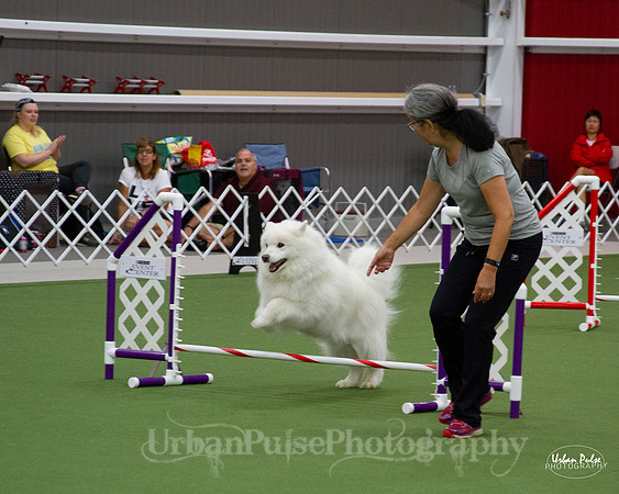 AGILITY_9440