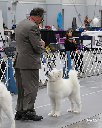 2021 SCA 4-6 MO PUPPY-3255_30
