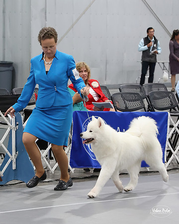 2021 SCA PUPPY SWPS B15+-1779_20