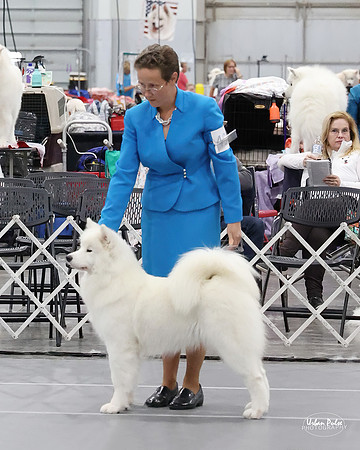 2021 SCA PUPPY SWPS B15+-1810_10