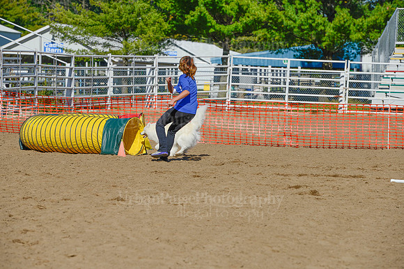 AGILITY-2136