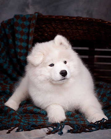 GreenBoy_10wks_16x20_0627