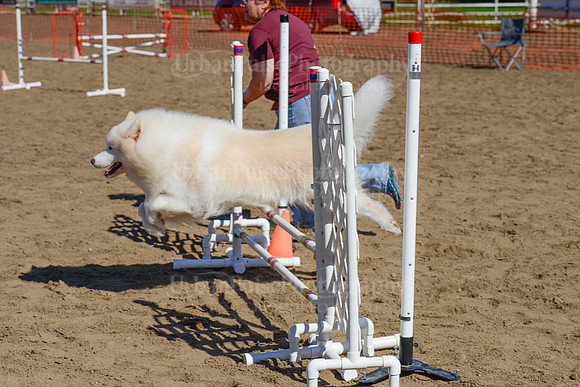 AGILITY-2224