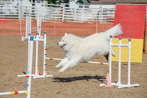 AGILITY-2214
