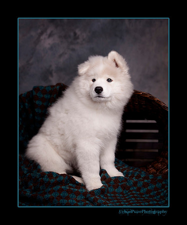 GreenBoy_10wks_web_0618