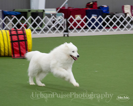 AGILITY_9474