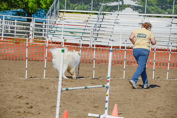 AGILITY-2374