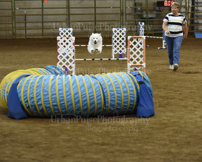SCA2016_AG MON JWW NOVICE-1186