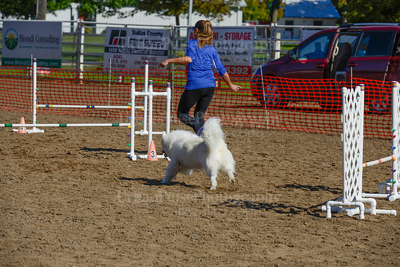 AGILITY-2124