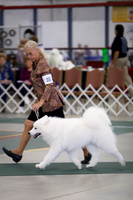 SWEEPS JUNIOR DOG 12-15