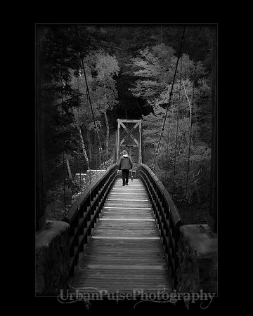 "Final Walk" 2015 International Print Award - PPA