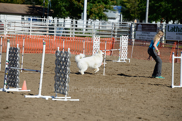AGILITY-1942