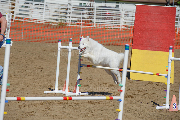 AGILITY-2321