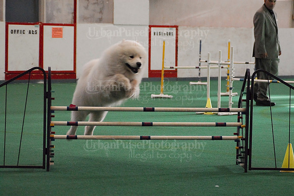 Agility-1704
